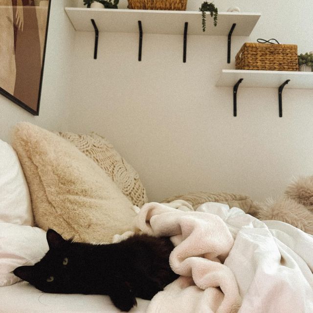 Petition to make every month spooky month just to see more Jennie 🖤🐈‍⬛📸: @cao_raymond