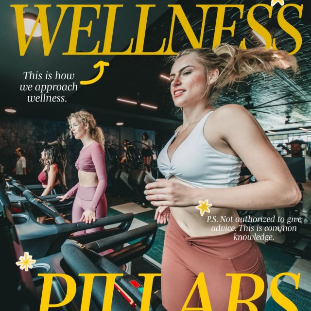 🌿 Welcome to the VERVE Wellness Series! 🌿

This month, we’re bringing you all things wellness—from self-care tips to healthy habits and everything in between. 💚 To kick things off, we’re teaming up with @easyplant for a giveaway!

🎉 TWO lucky winners will each receive 2 plants to level up their space!

Here’s how to enter:
🌱 Follow VERVE on Instagram & TikTok
🌱 Like this post
🌱 Tag the friend who’s the best damn plant parent 🌿 (or wants to be!)

📅 Winners will be announced on August 31.

Ready to grow with us? 🍃 Let the tagging begin! #VerveAnnArbor #WellnessSeries #PlantGiveaway #UniversityOfMichigan #annarborliving